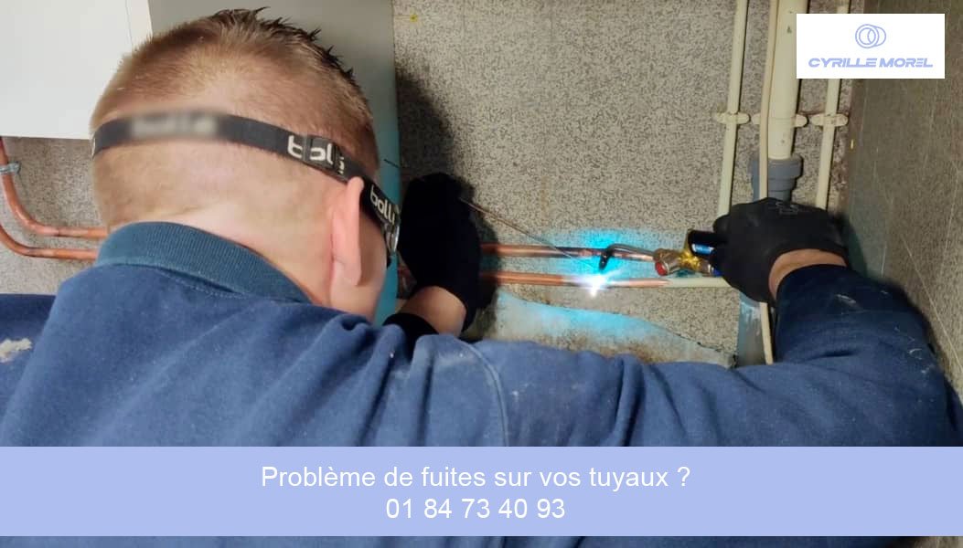 Plombier professionnel